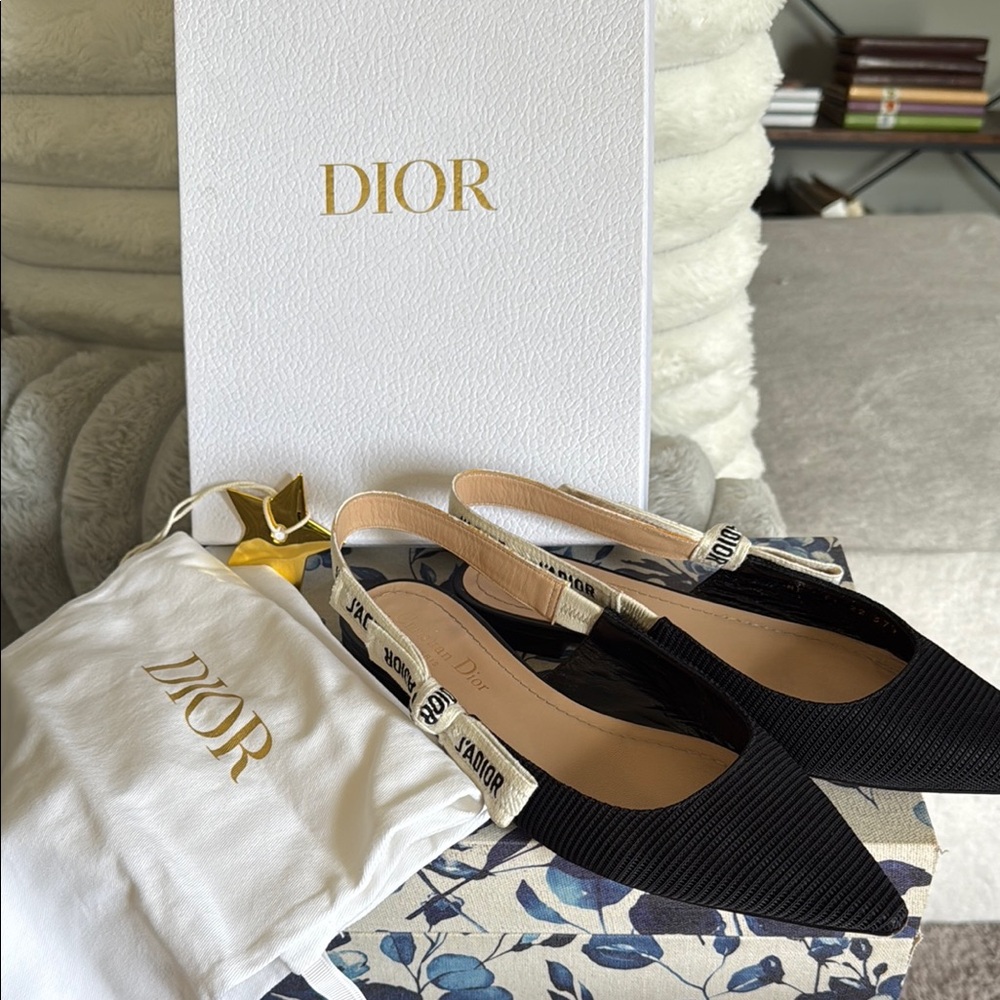 Dior Black Elegant Flats